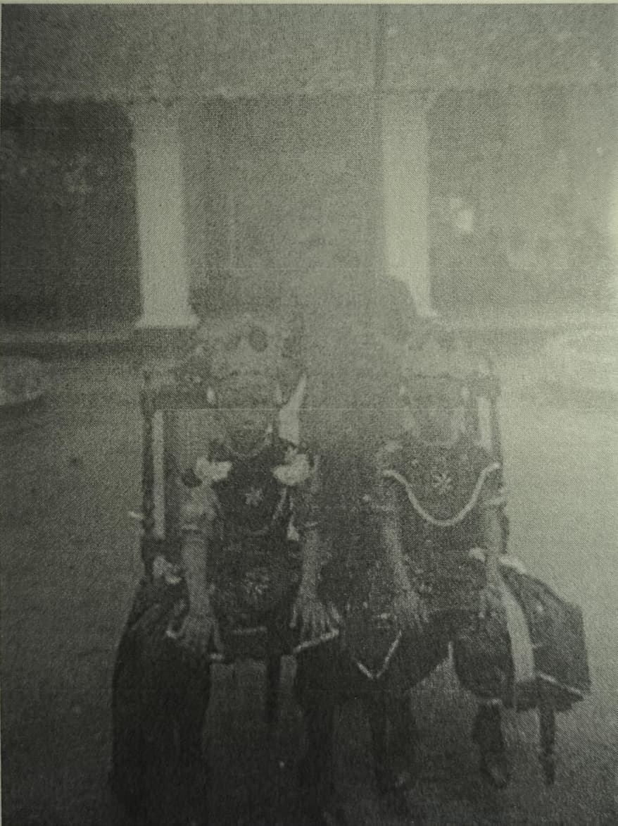 Anak-Anak Bupati Serang, Hilman dan Rifki Djajadiningrat Manakala Pesta Sunatan, Tahun 1900